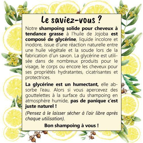Shampoing solide - Cheveux à tendance grasse – Image 4