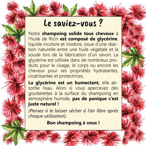 Shampoing solide - Tous cheveux – Image 4