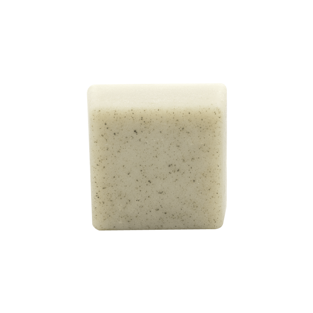 Shampoing solide - Cheveux à tendance grasse – Image 3