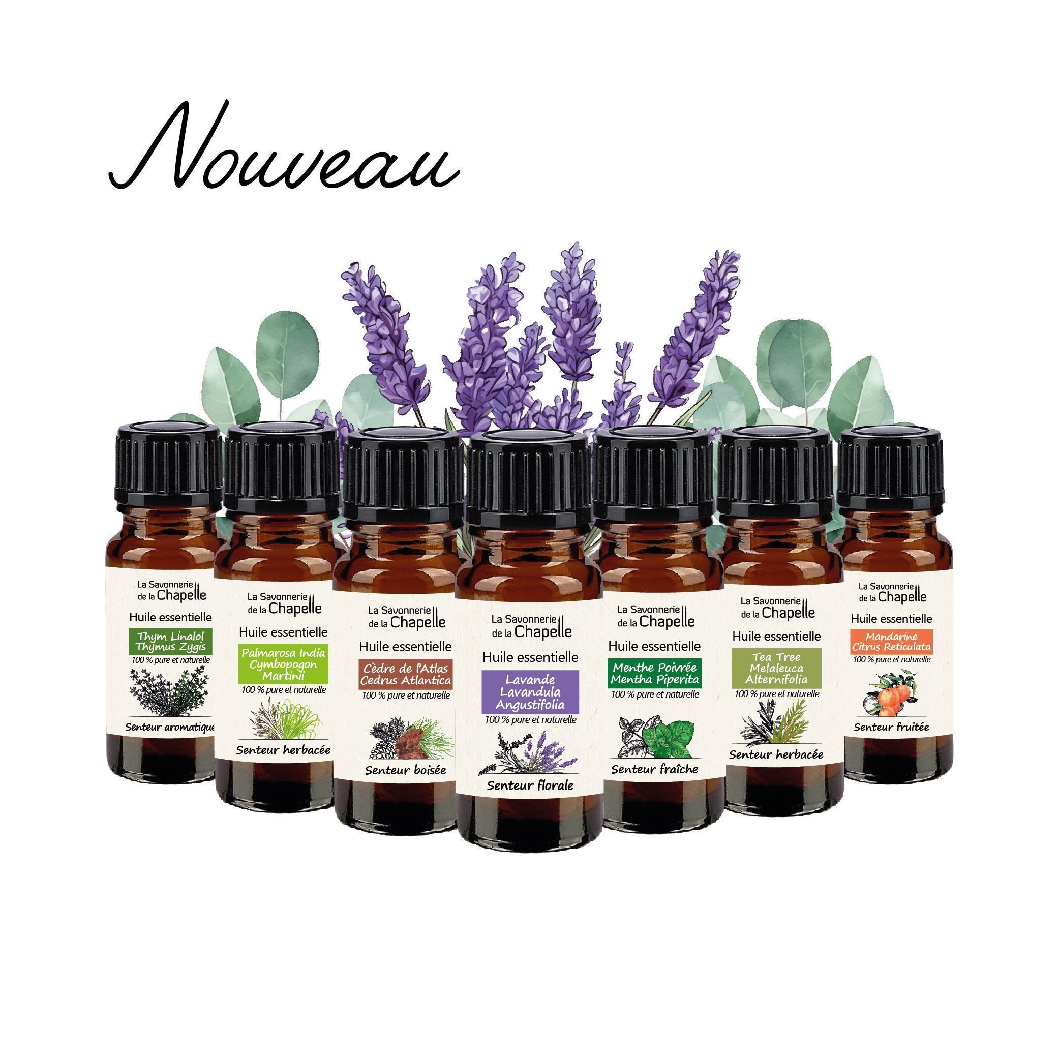 Les huiles essentielles